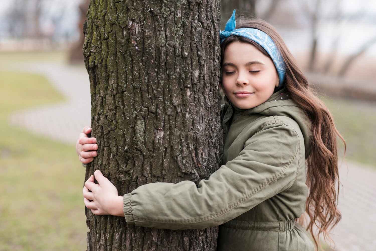 The Steps Involved in Our Tree Care Process in Leland, NC